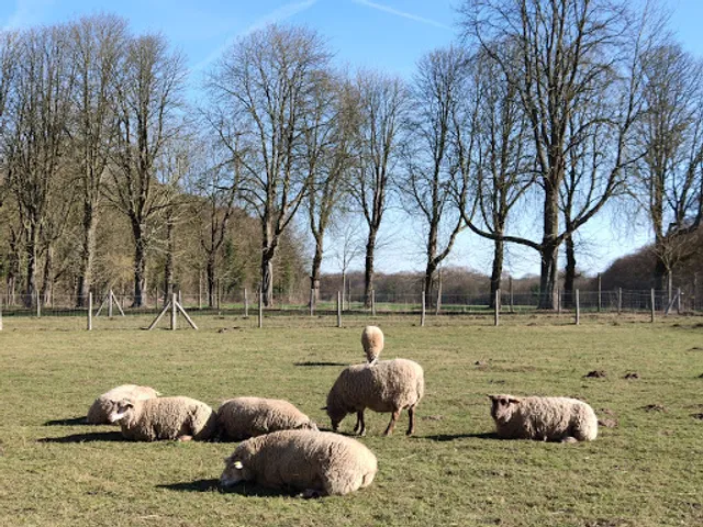 Les Fermes de Gally - Ferme Pédagogique