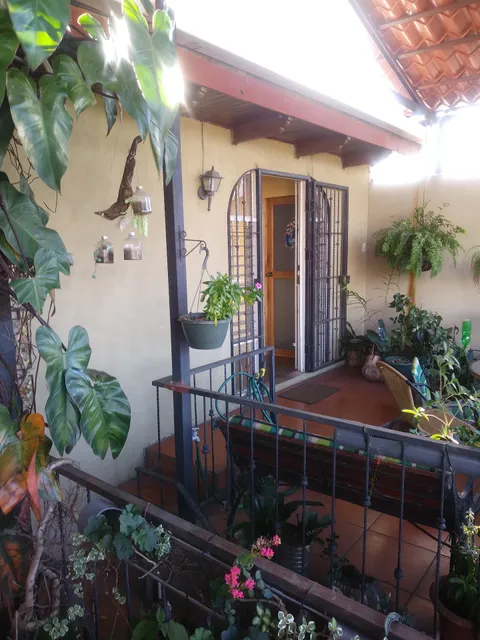 Costa Rica Love Hostel