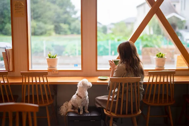 コーヒーエイト・ウェロニカ (Coffee-ate Veronica)