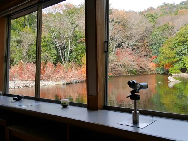 Katsuragawa Wild Bird Park