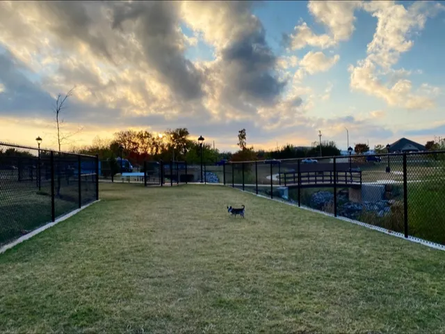 Domino Dog Park