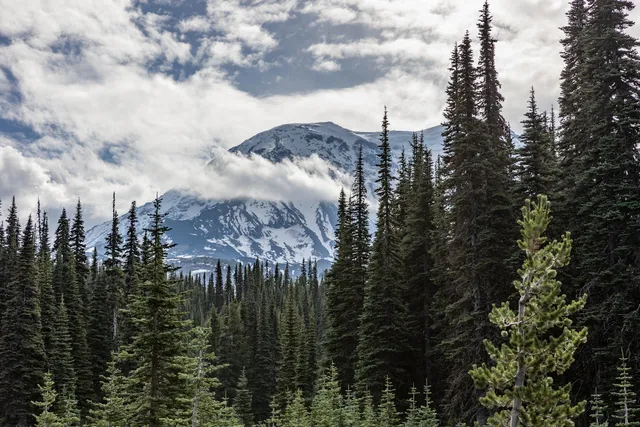 Killen Creek Trailhead