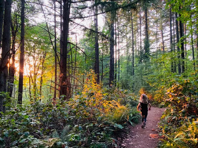 Shelton View Forest - 7th Ave. W. Trailhead
