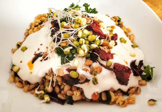 Fork Season - vegan take away bistro