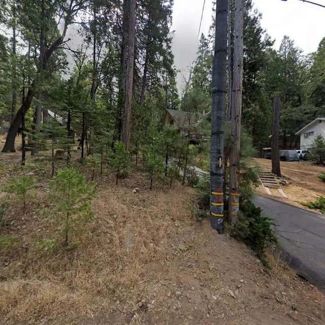 One Love, One Harte Cabin