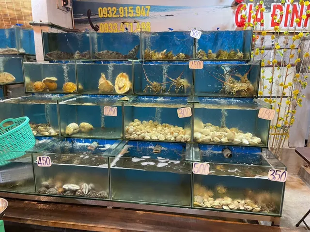 Nhà hàng Thuận Kiều 2 - Hải Sản Tươi Sống (Seafood & 해산물) - CN3