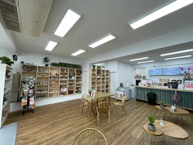 Gotcha House Launceston