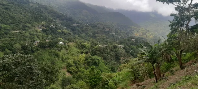 Travel Jamaica Tours