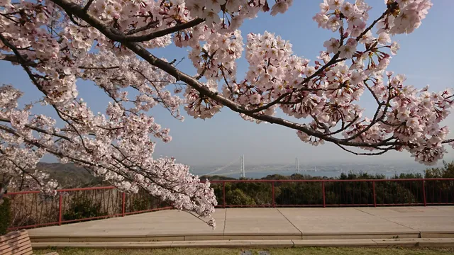 Awajishima Park Observation Square