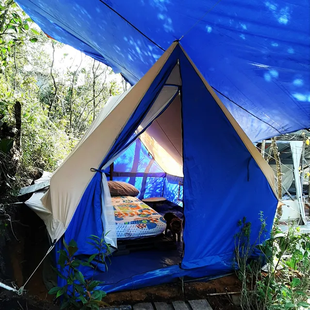 Granja Colombia Homestays