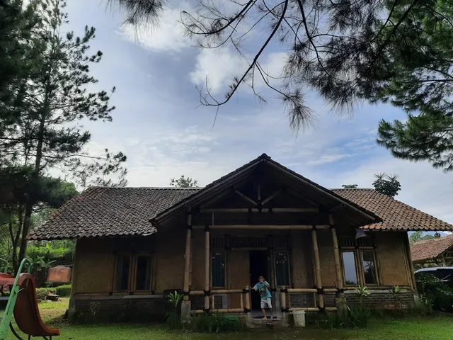 The Radiant Bamboo Village