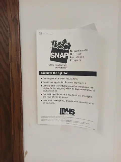 Illinois Department of Human Services