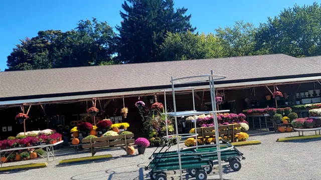 Kelly's Gardens & Landscape Services