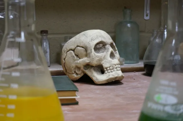 Trapped! Escape the Room