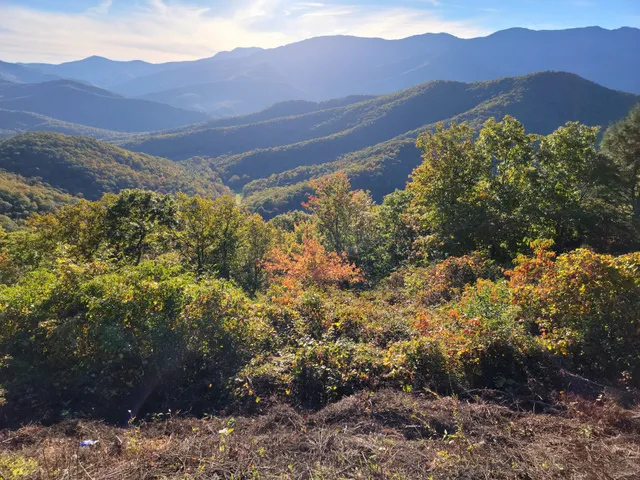 Black Mountains Overlook