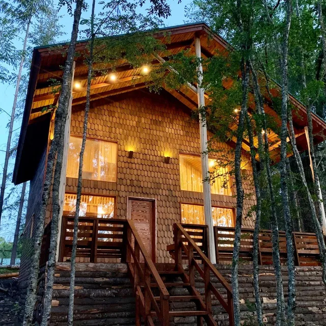 Villarrica Cabañas Coyanco