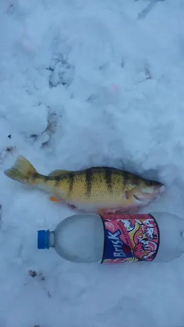 Jorgenson Meat Store