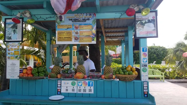 The Green Parrot - Harbour Front