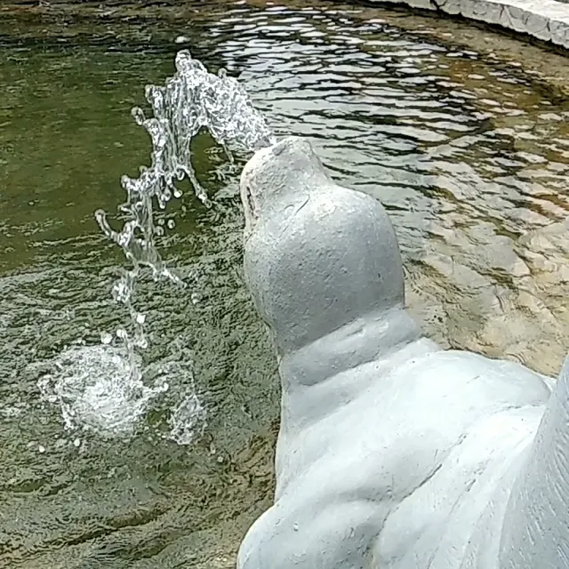 The Forest Onsen and Cafe