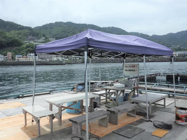 網代港 いかだ釣りの東海