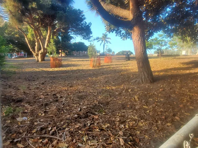 Westminster Dog Park