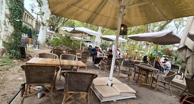 The White Cat - Restaurant Montpellier