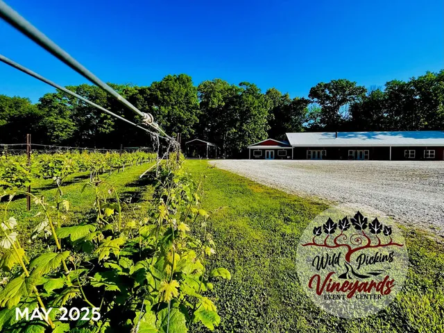 Wild Pickins Vineyards