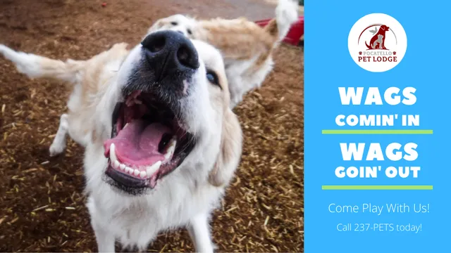 Pocatello Pet Lodge