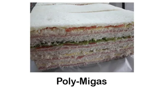 POLY-MIGAS