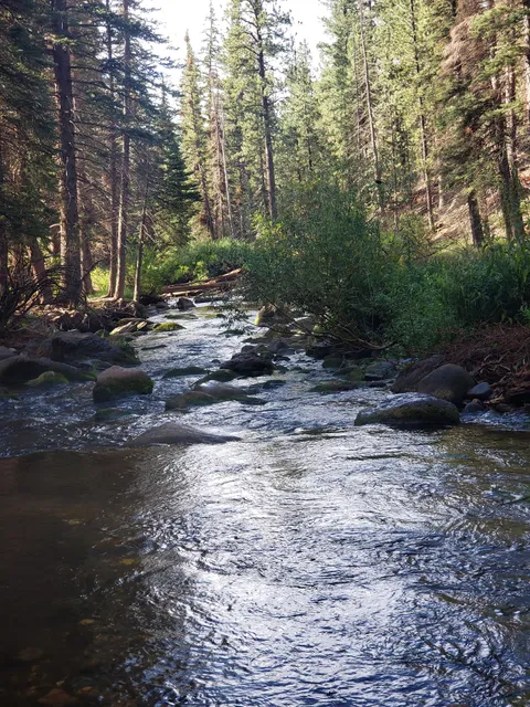 Mammoth Designated Dispersed Camping Area