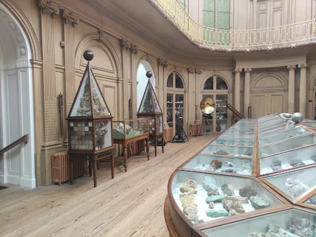 Lunchcafé Teylers Museum