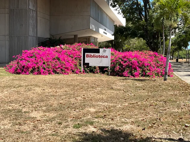 University of Puerto Rico at Ponce