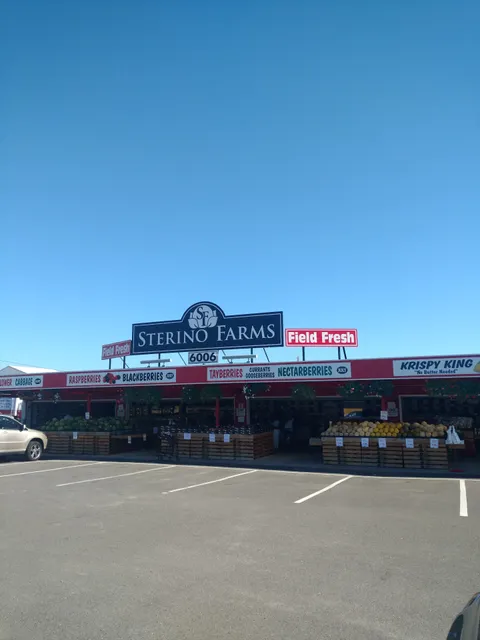 Sterino Farms