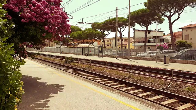 Viareggio