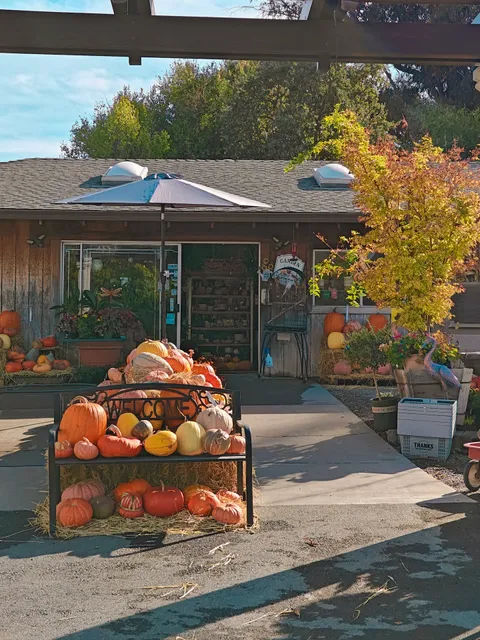 Western Garden Nursery