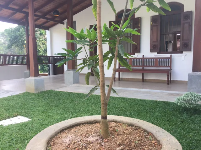 Nature’s Lodge - Galle