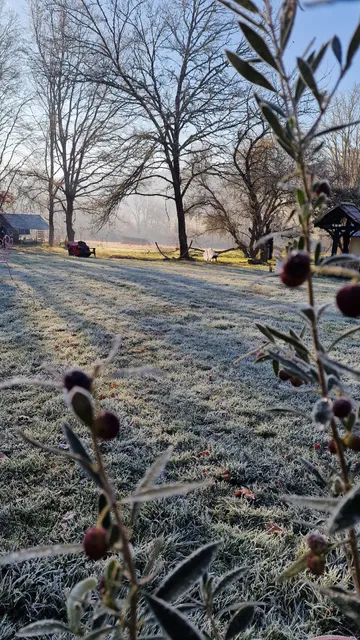 La Forestine gites bergerac
