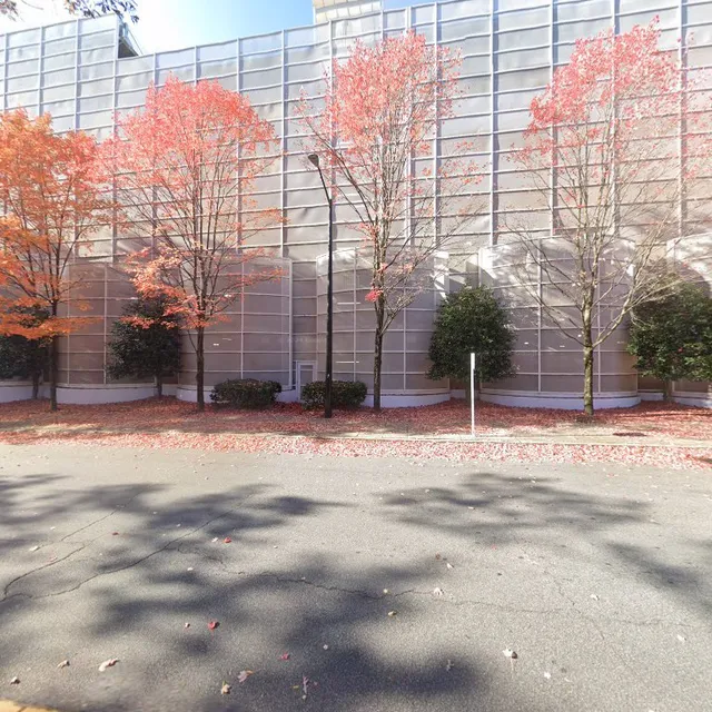 Lace Whitten - State Farm Insurance Agent