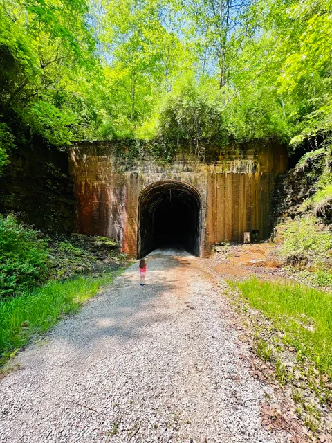 Silver Run Tunnel #19