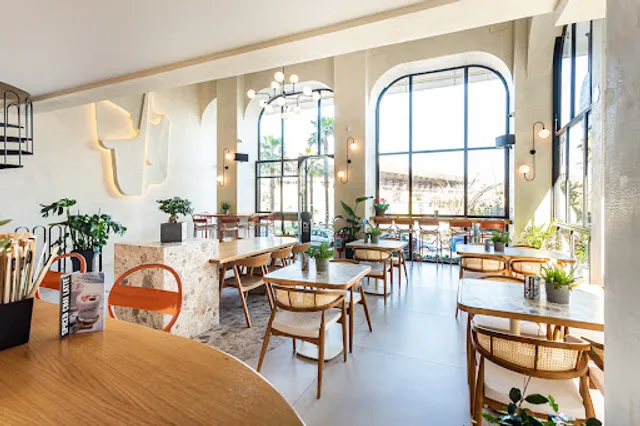 modish coffee, graze and booze