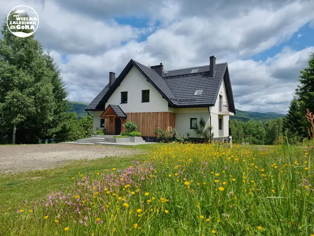 Pod Wielką Zalesioną Górą