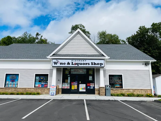 Discount Wine & Liquors Shop-(Wine Seller)