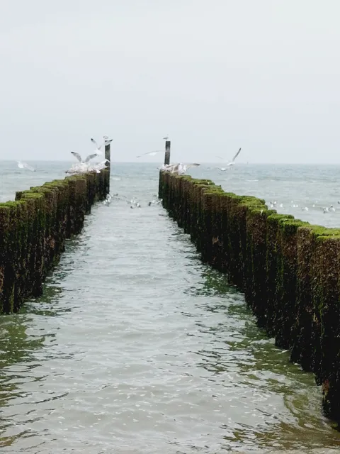 Schoonzicht Holiday vacation home rental Zealand