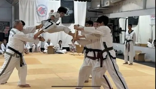 Young Brothers Taekwondo