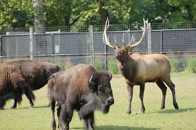 Friends of the Bergen County Zoo