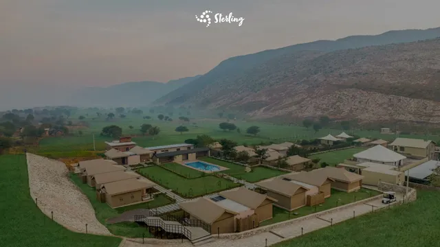 Sterling ReWild Sariska