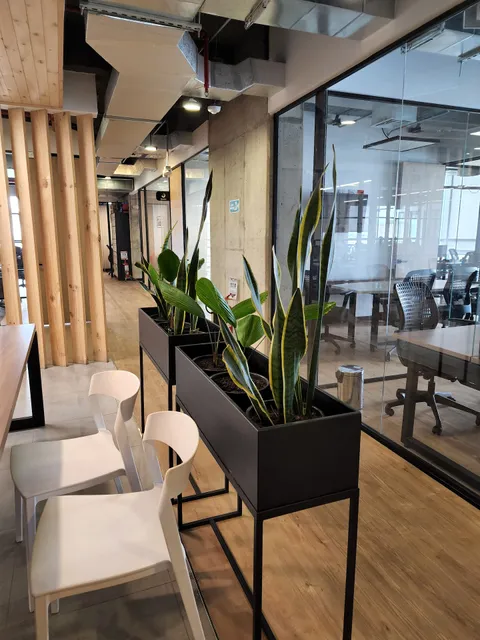 Co-Work Latam- La 97