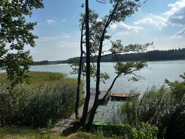 JW Mazury