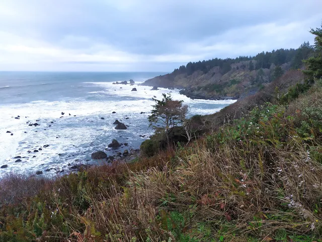Palmer's Point Lookout