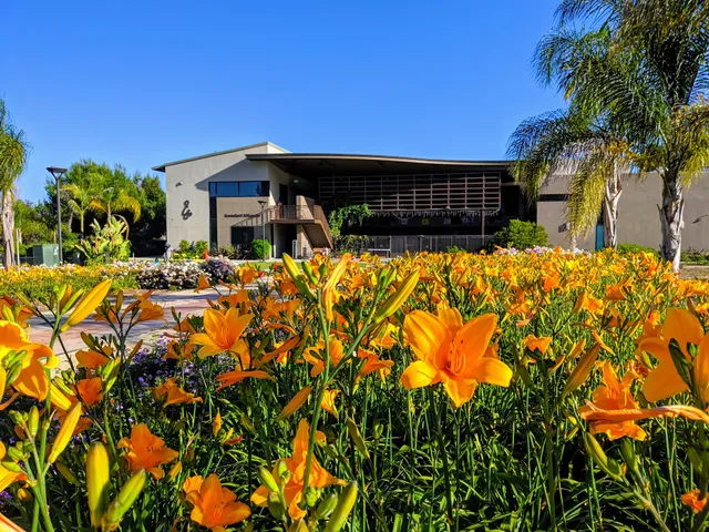 Chinmaya Mission San Diego (CMSD)